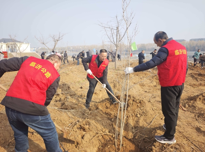 臨沂市公路事業発展センター：義務植樹活動に参加し「美しい臨 ...