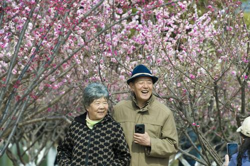 春爛漫！臨沂市各所で花咲き、市民が足を止め魅了