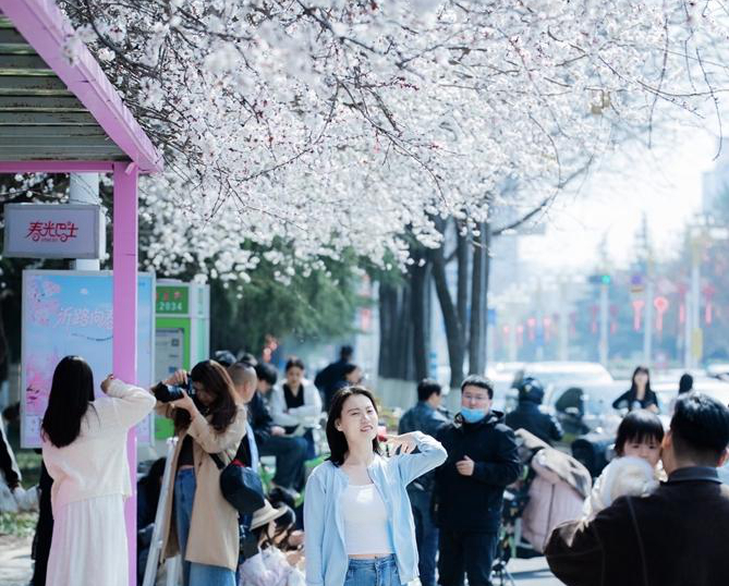 臨沂：春の花咲く詩的な都市に、公園ごとに見頃を迎え多彩なイ ...