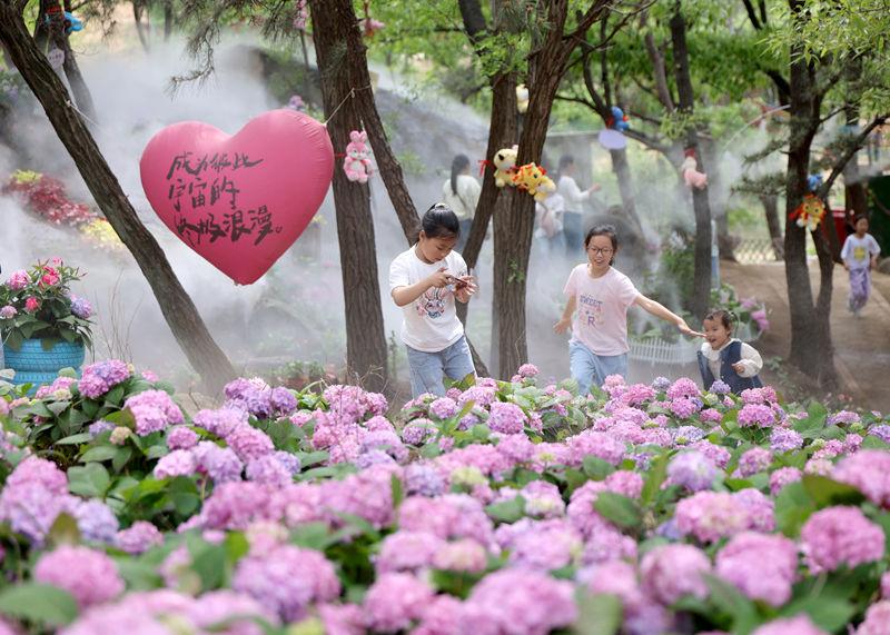 蒙陰県桃墟鎮：孔雀花園が春の観光客でにぎわう