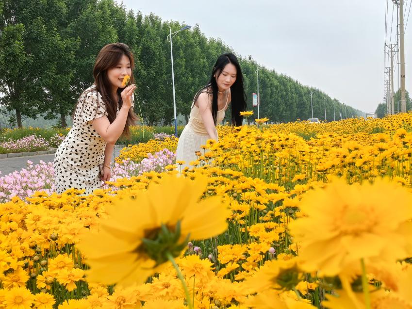 初夏の花咲き誇る臨沂湯泉観光地、観光客に癒しの時を提供